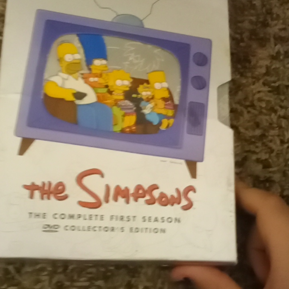 The Simpsons first season